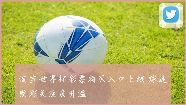 淘宝世界杯彩票购买入口上线 球迷购彩关注度升温