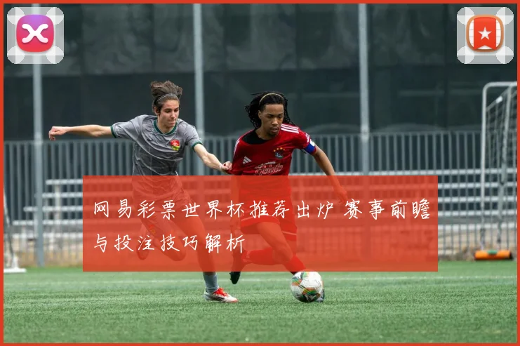 网易彩票世界杯推荐出炉 赛事前瞻与投注技巧解析